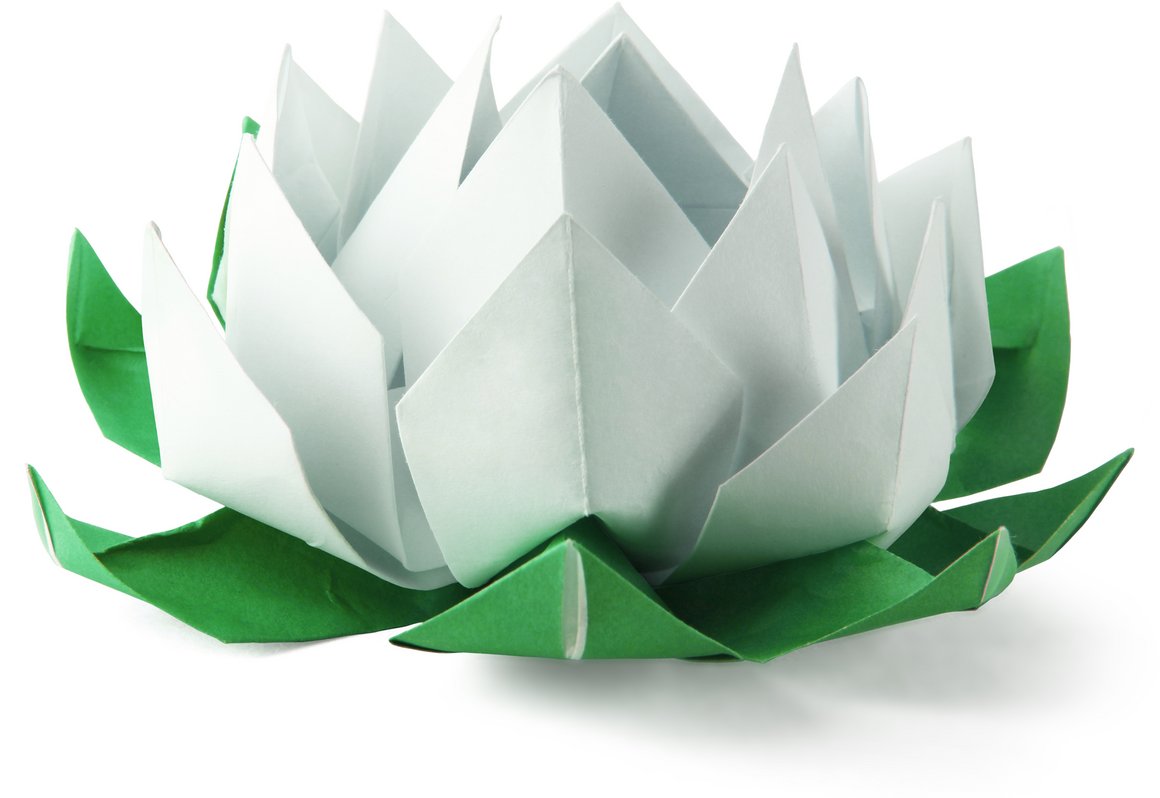 Origami Seerose