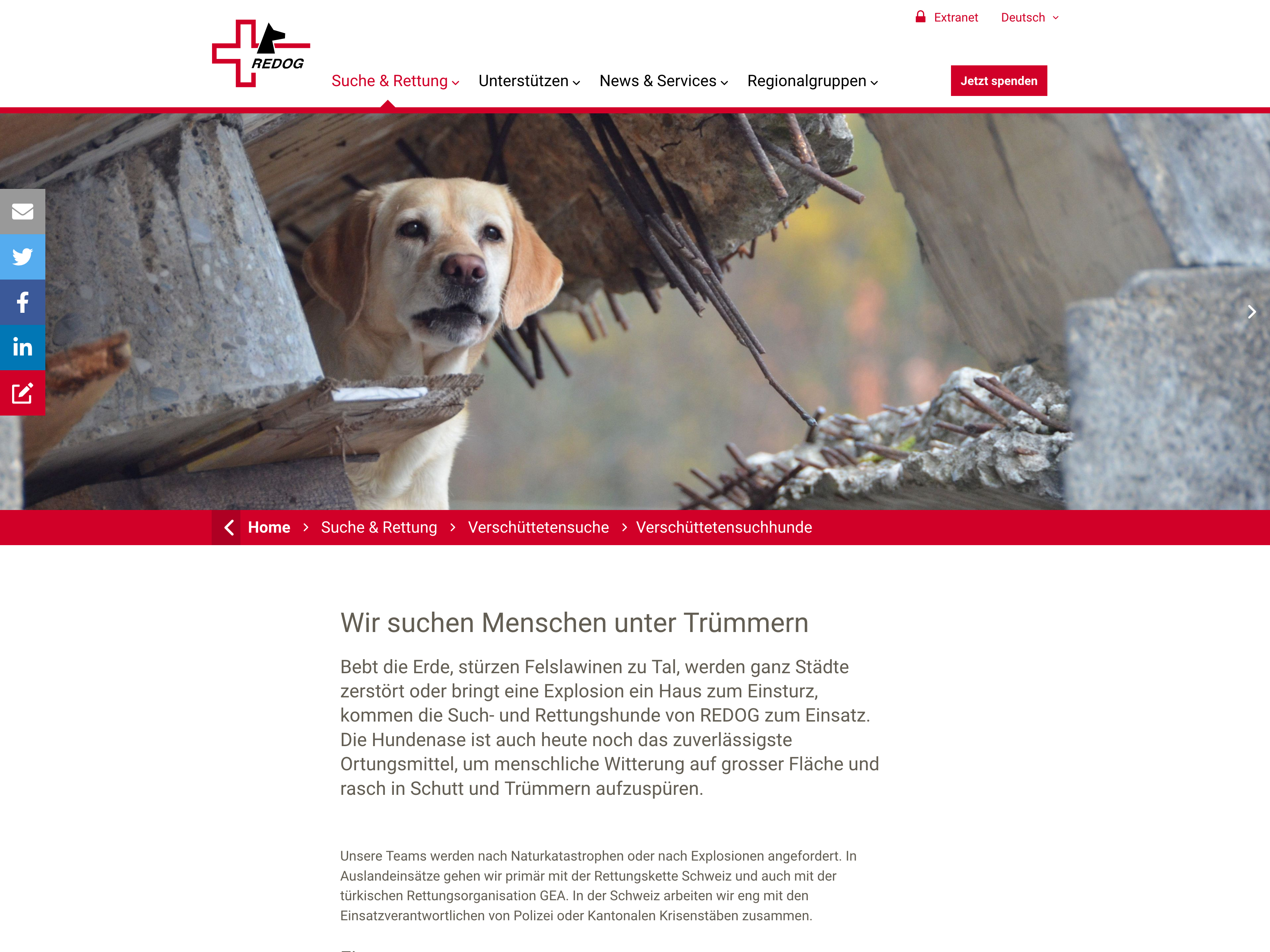 REDOG: Screenshot der Website - Wir suchen Menschen unter Trümmern
